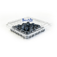BK - 18 oz 7×7