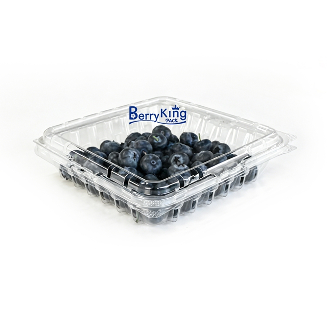 BK - 18 oz 7×7