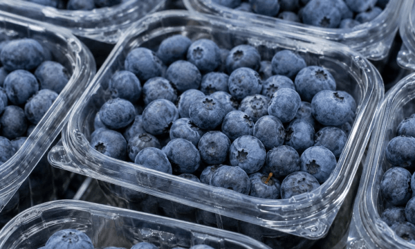 ¿Cómo proteger los arándanos delicados en el transporte marítimo? 4 claves para elegir envases premium