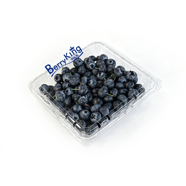 BK - 18 oz 7×7