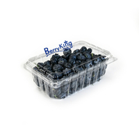 BK - 18 oz 5×7