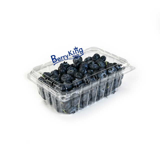 BK - 18 oz 5×7