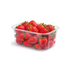 series_de_punnet