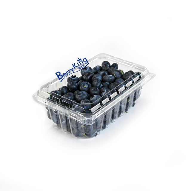 BK - 18 oz 5×7